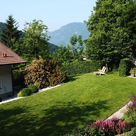 Apartmaji 43 Tolmin