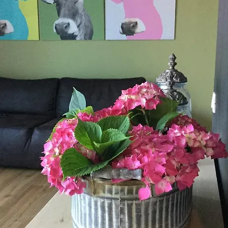 Apartmaji 43 * Tolmin