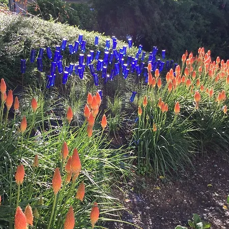 Apartmaji 43 Apartman *