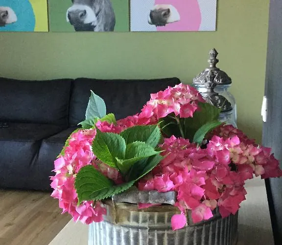 Apartmaji 43 * Tolmin