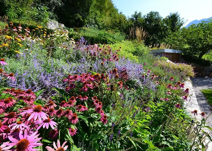 Apartmaji 43 托尔明